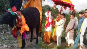 मां नंदा की परंपरागत यात्रा