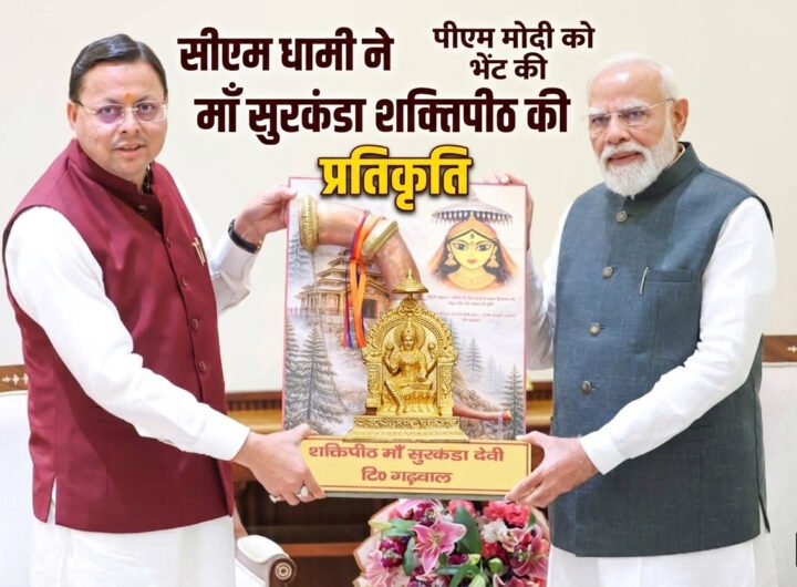 सीएम धामी