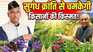 MP and former Chief Minister Trivendra Singh Rawat