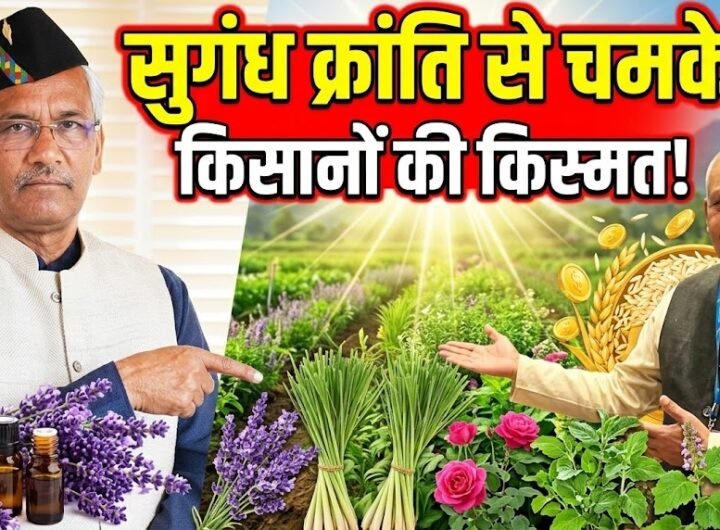 MP and former Chief Minister Trivendra Singh Rawat