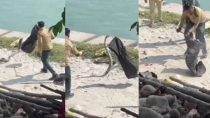 गंगा आरती स्थल पर 7 फीट का सांप दिखा