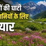 फूलों की घाटी