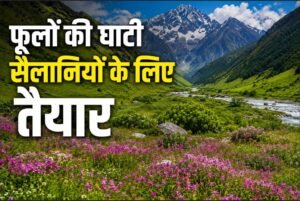 फूलों की घाटी