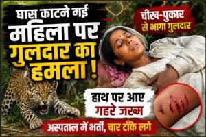 गुलदार का हमला