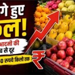 फल