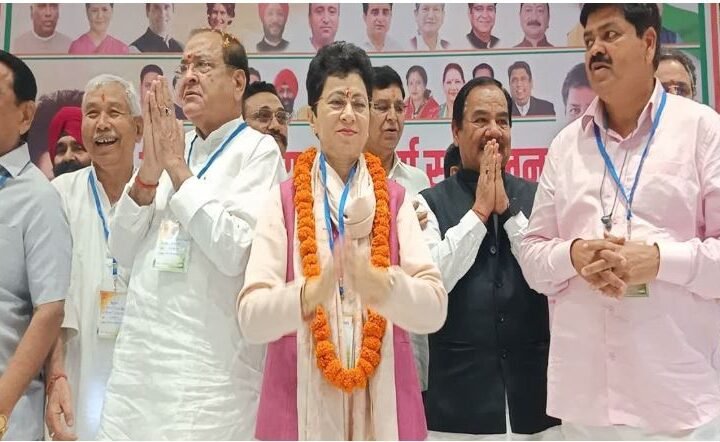 कुमारी शैलजा