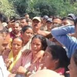 गुलदार